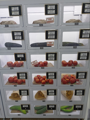 Broden Fresh Food Vending Machine Lockers met grote capaciteit in Frankrijk