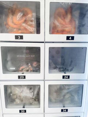 Efficiënte R290 koelmiddel vismachine voor vers