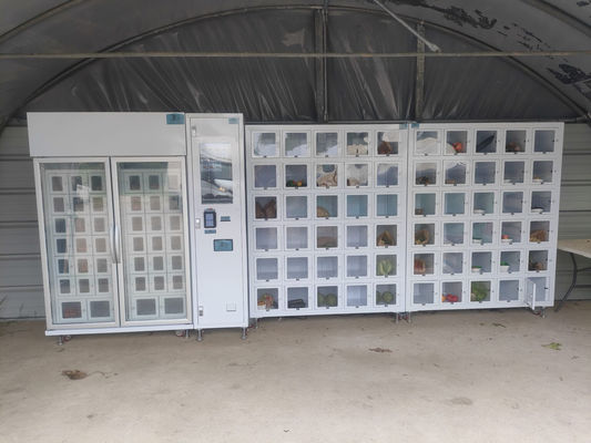 Max.40 Vastgoedvariëteit Cupcake Locker Vending Machine met 1 controller en 8 machines