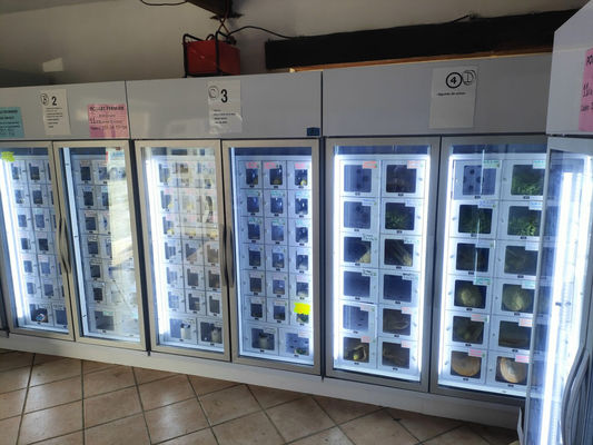 Android 11 ei-dispenser voor kleine boeren 24/7 gemak en efficiëntie